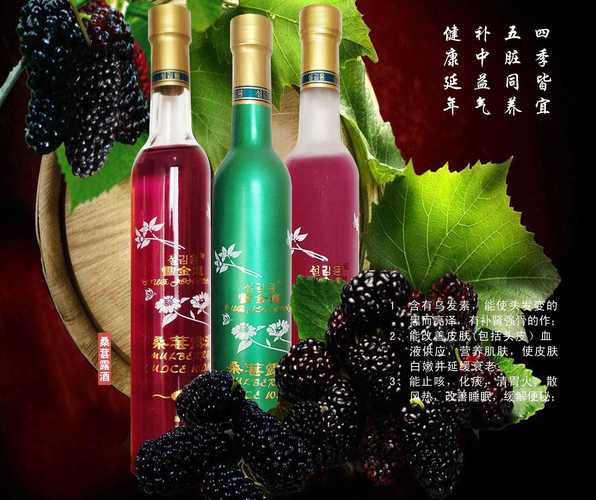 桑葚果露酒 工厂直销，12°微醺，专为女士打造的388ml预调酒精饮料